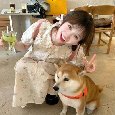 卫斯理之老猫
